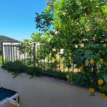 Margaretic Apartment